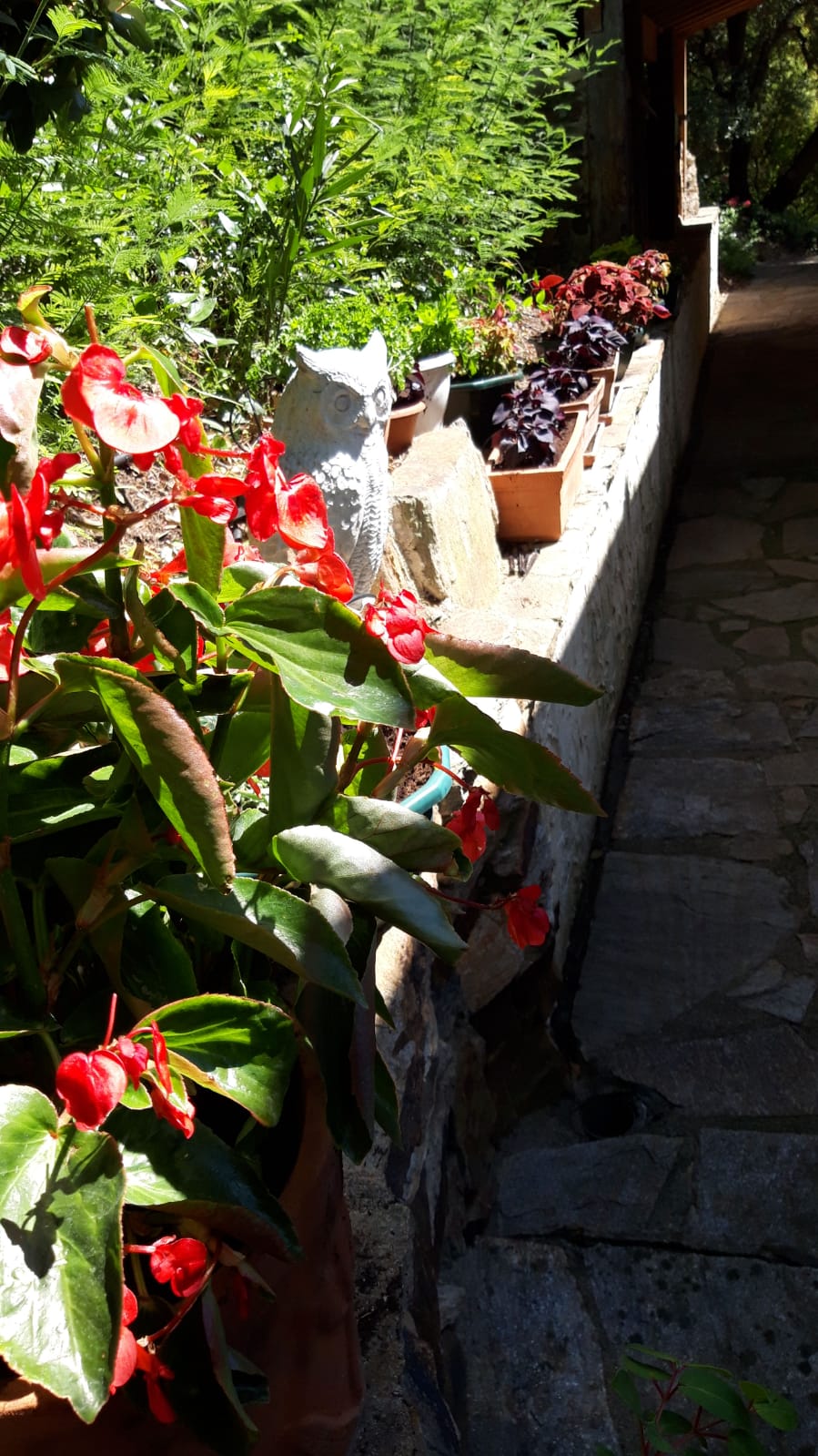 Cr�ation de jardin Roquebrun