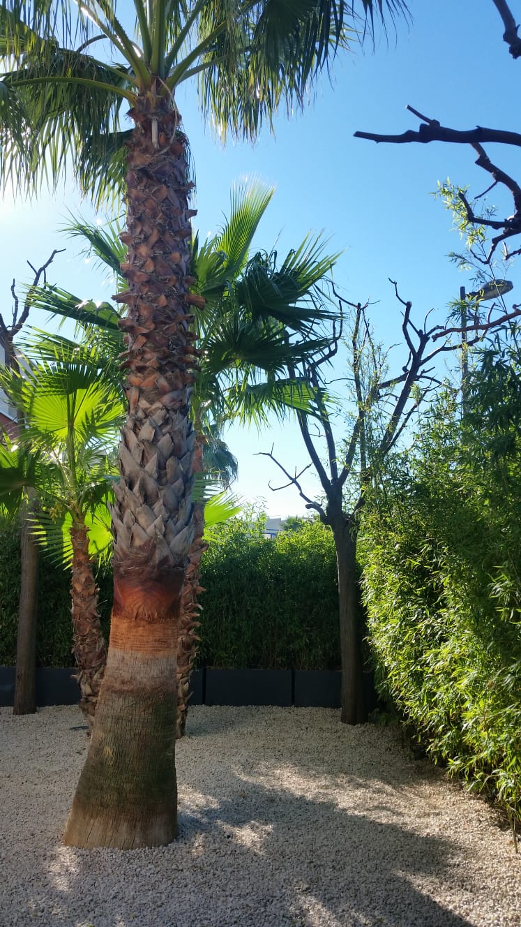 Cr�ation de jardin S�te